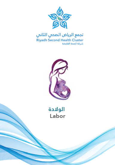 HEM2.16.000317 Labor.pdf